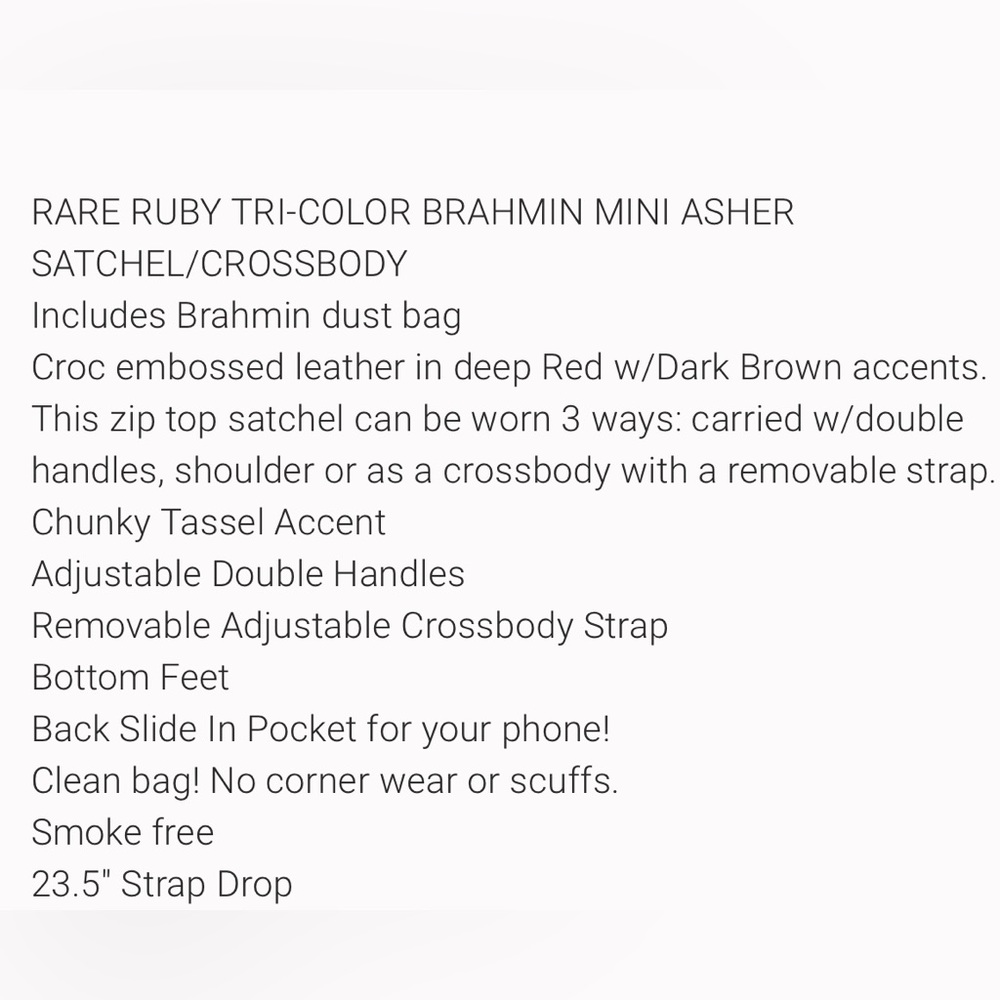Brahmin - Picture 9 of 9